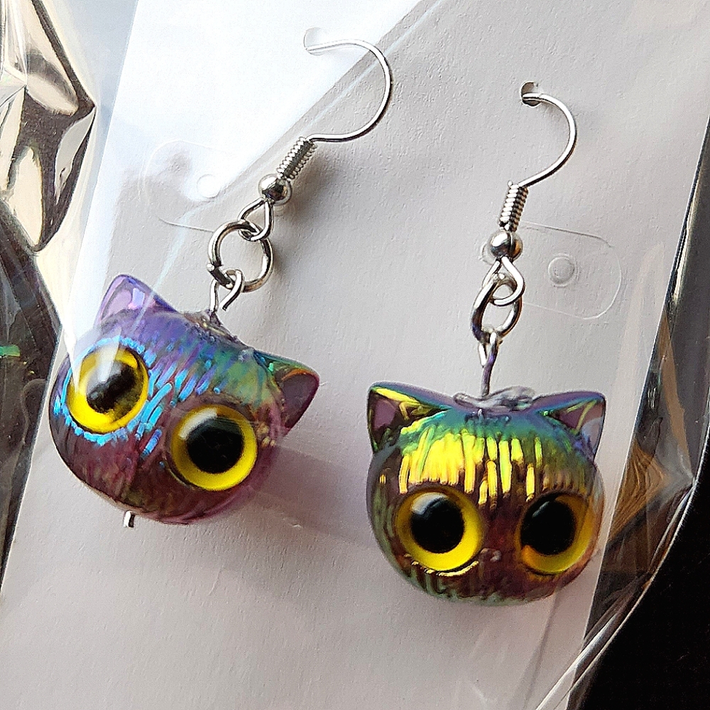 Earrings